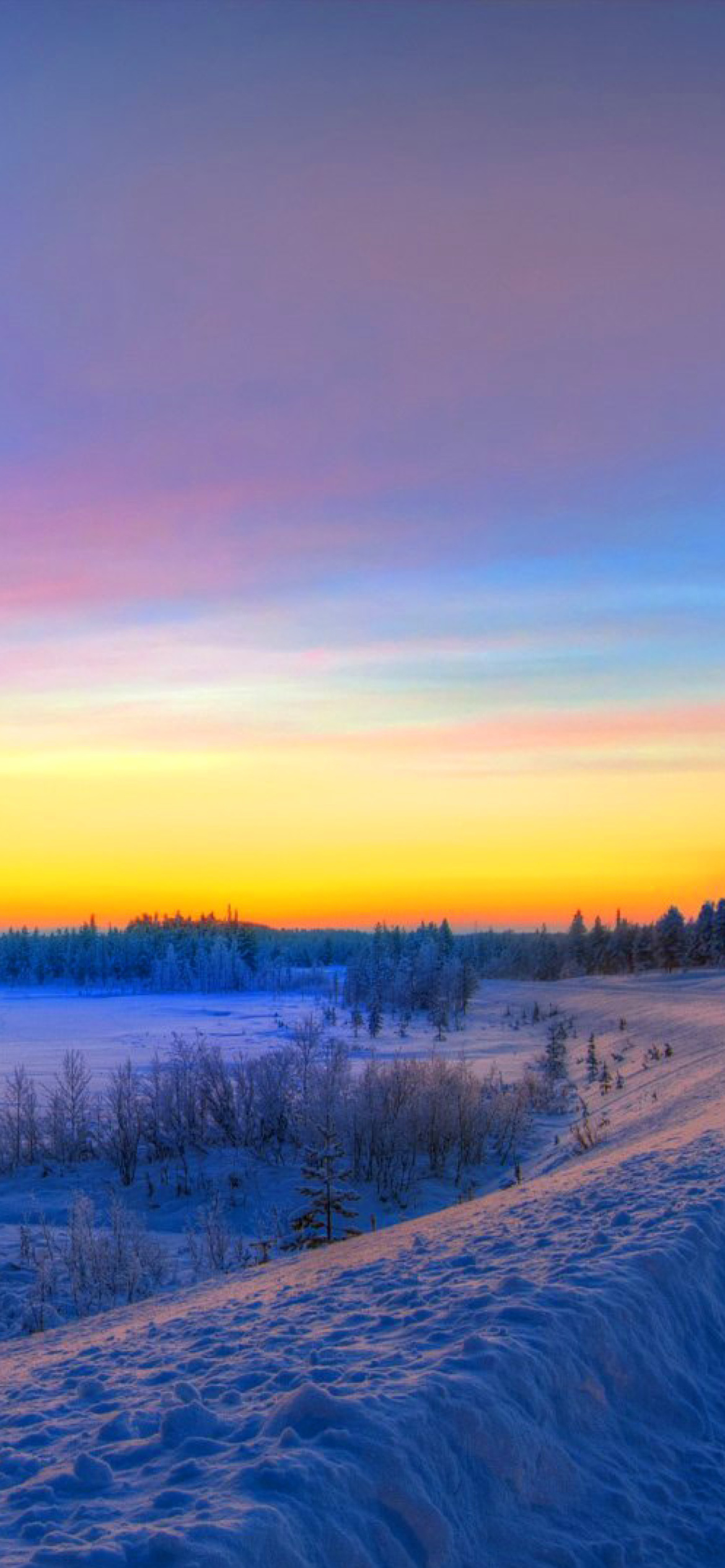 Siberian winter landscape wallpaper 1170x2532