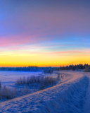 Siberian winter landscape wallpaper 128x160