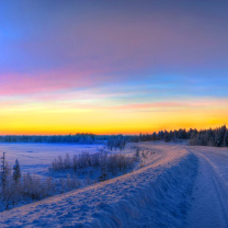 Siberian winter landscape wallpaper 208x208