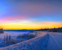 Siberian winter landscape wallpaper 220x176