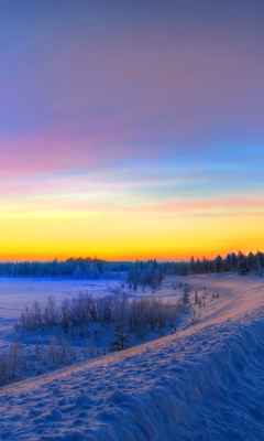 Siberian winter landscape wallpaper 240x400