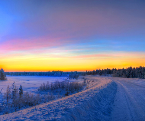 Das Siberian winter landscape Wallpaper 480x400