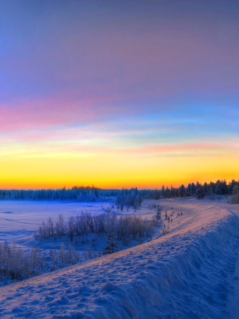 Siberian winter landscape wallpaper 480x640