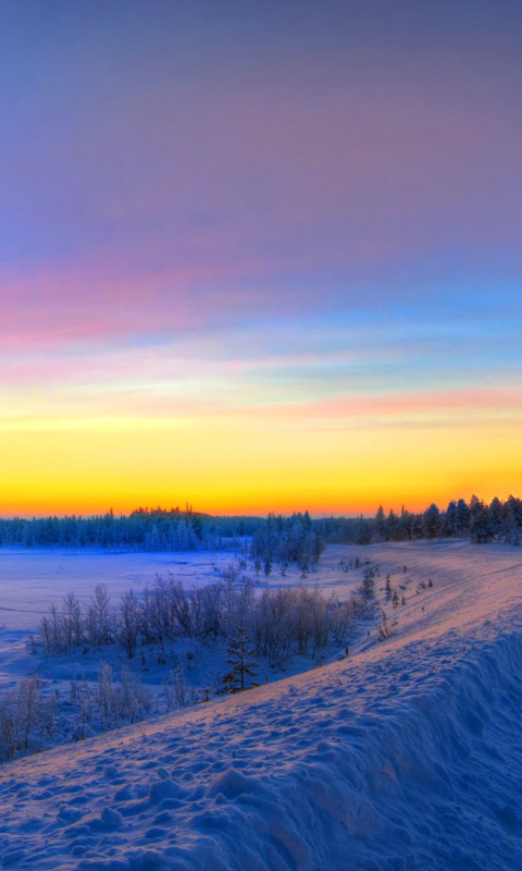 Siberian winter landscape wallpaper 480x800