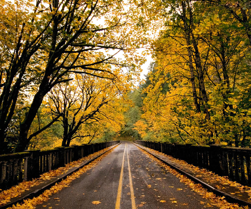Das Wet autumn road Wallpaper 960x800