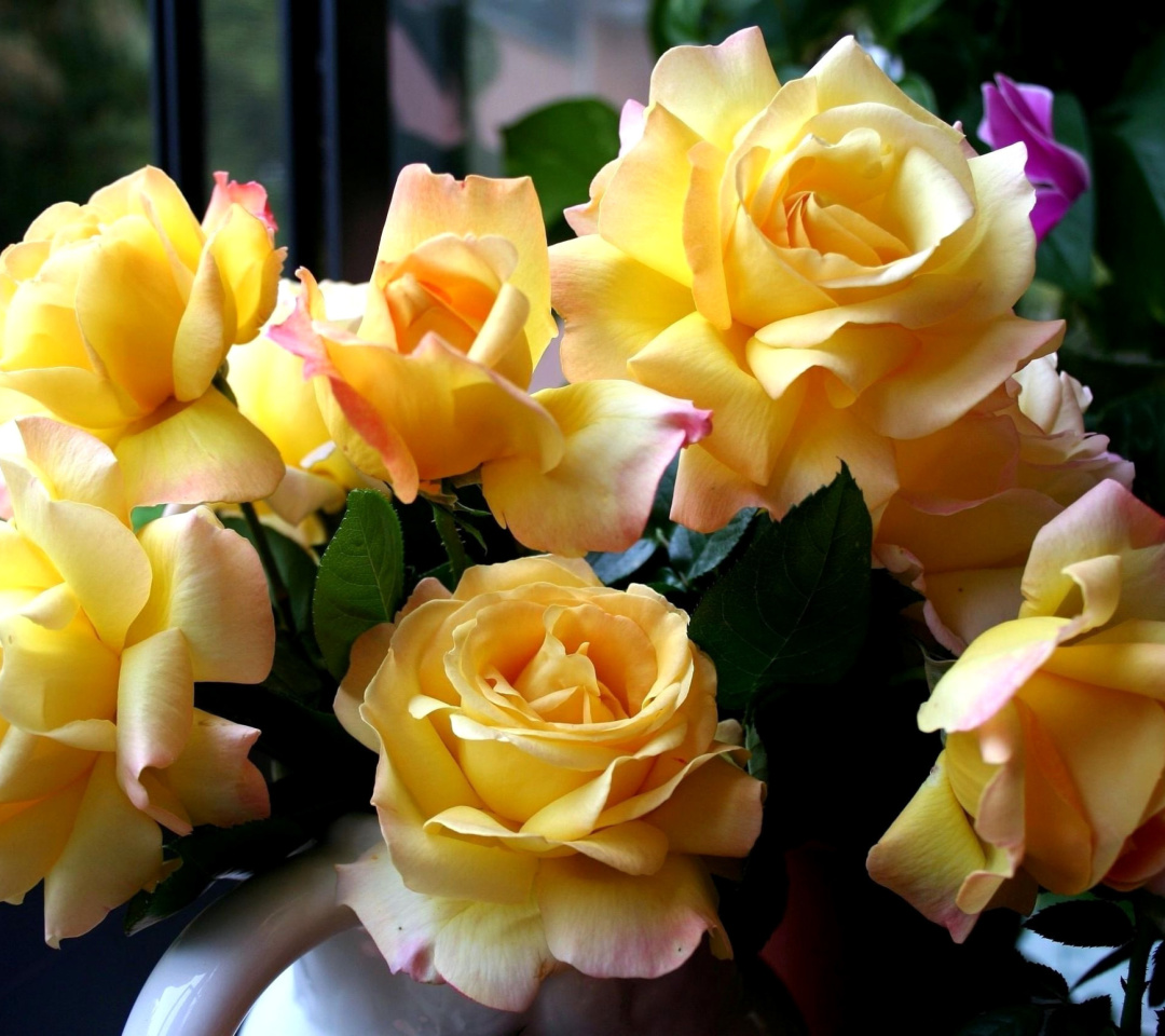 Обои Yellow roses 1080x960