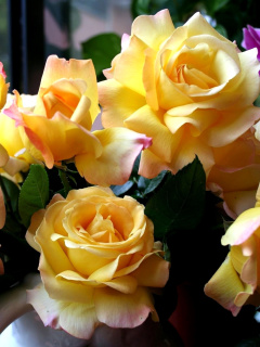 Yellow roses wallpaper 240x320