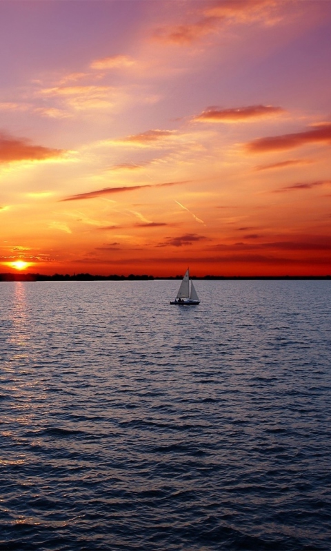 Ship In Sea At Sunset wallpaper 480x800