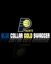 Das Indiana Pacers Team Wallpaper 176x220