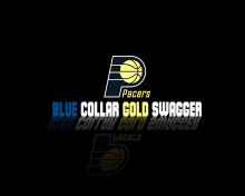 Das Indiana Pacers Team Wallpaper 220x176