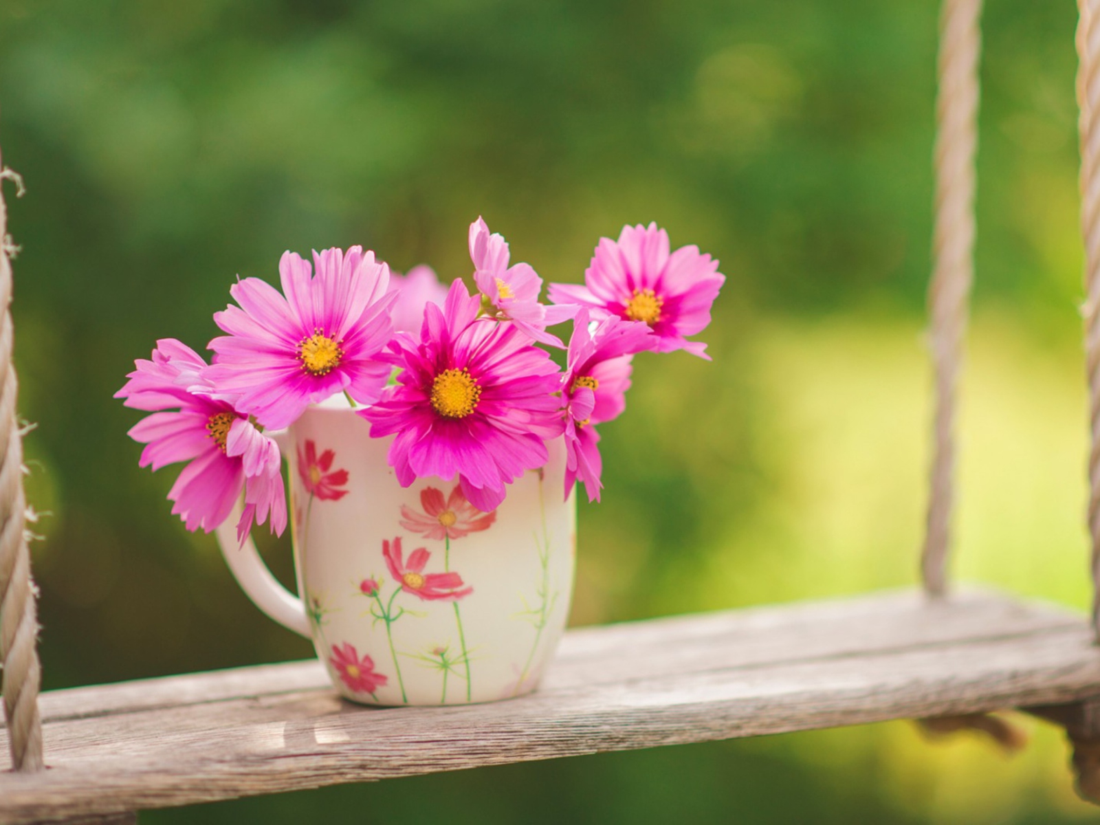 Fondo de pantalla Pink Garden Cosmos Mini Bouquet 1600x1200