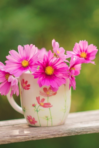 Pink Garden Cosmos Mini Bouquet screenshot #1 320x480