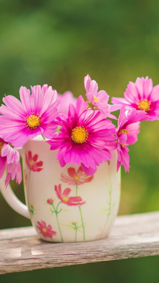 Pink Garden Cosmos Mini Bouquet wallpaper 640x1136