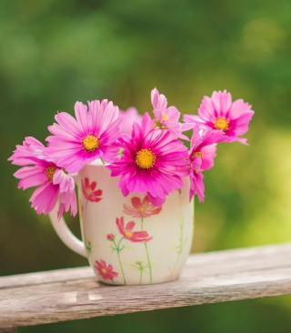 Pink Garden Cosmos Mini Bouquet sfondi gratuiti per Nokia Asha 311