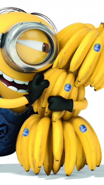 Despicable Me 2 wallpaper 360x640