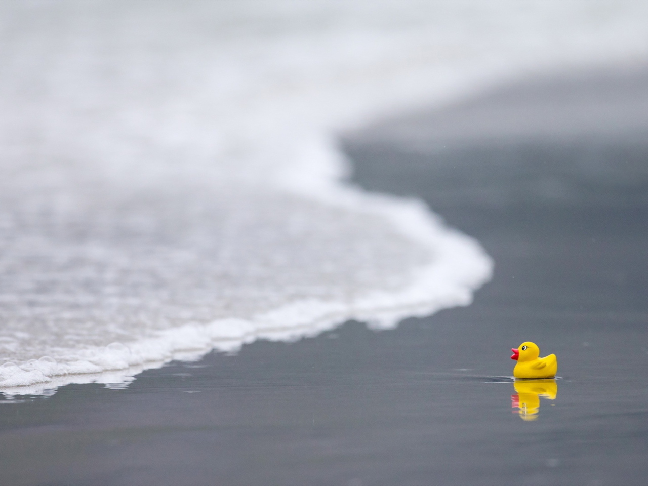 Yellow Rubber Duck At Beach screenshot #1 1280x960