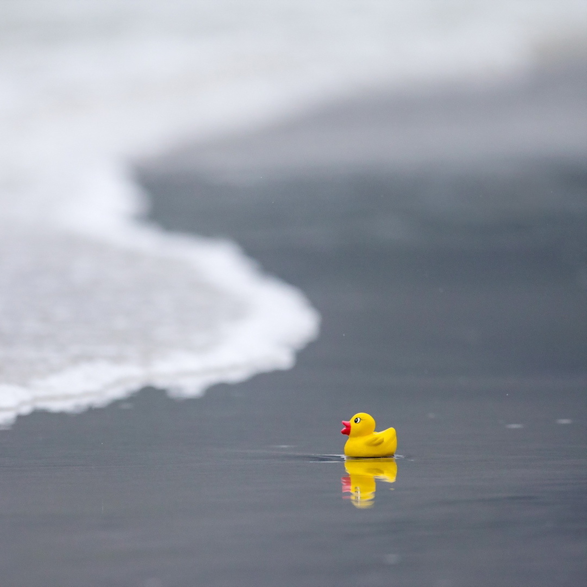 Sfondi Yellow Rubber Duck At Beach 2048x2048
