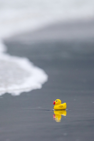 Sfondi Yellow Rubber Duck At Beach 320x480