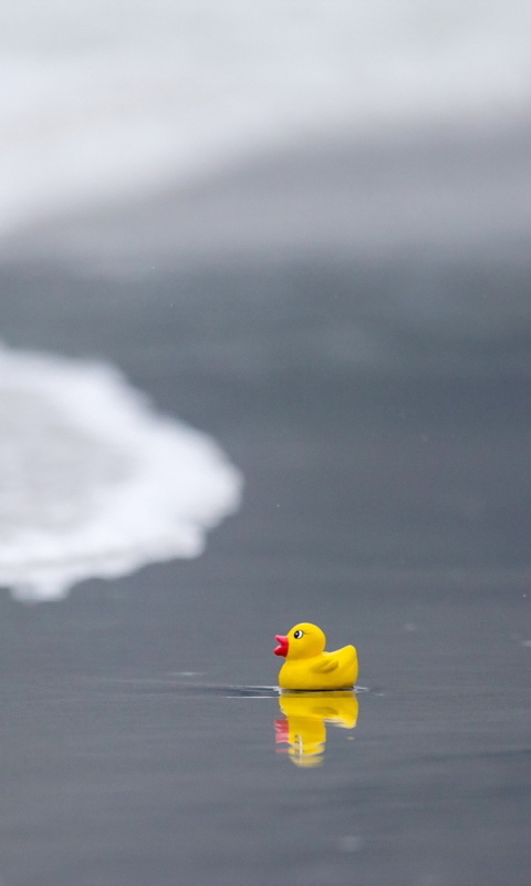 Yellow Rubber Duck At Beach screenshot #1 480x800