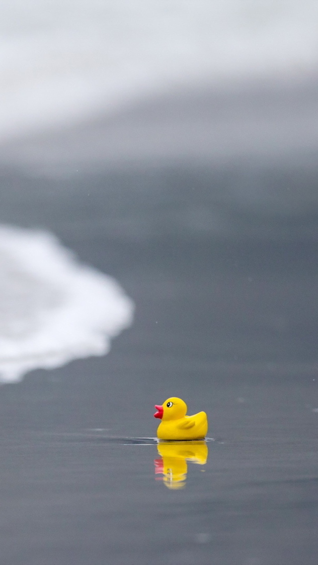 Обои Yellow Rubber Duck At Beach 640x1136