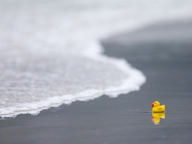 Yellow Rubber Duck At Beach screenshot #1 640x480