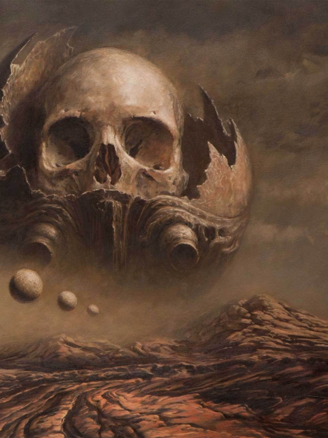 Skull Desert wallpaper 480x640