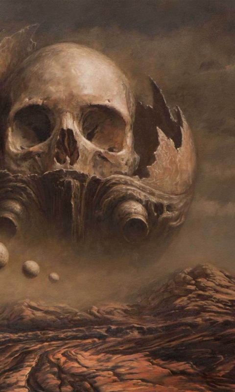 Skull Desert wallpaper 480x800