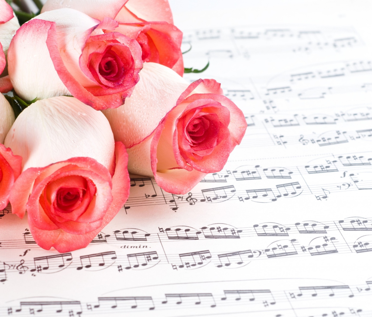 Flowers And Music wallpaper 1200x1024