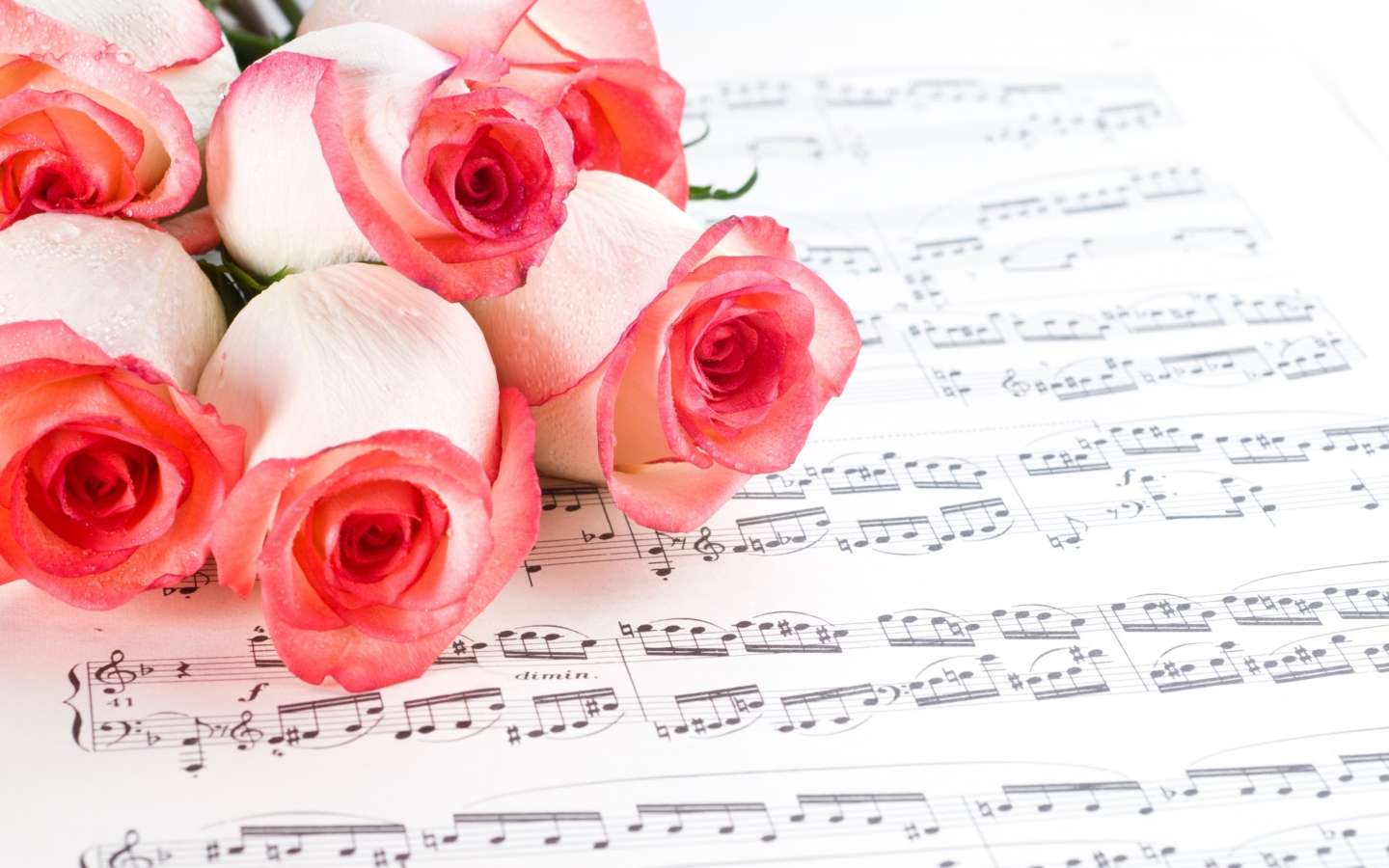 Das Flowers And Music Wallpaper 1440x900