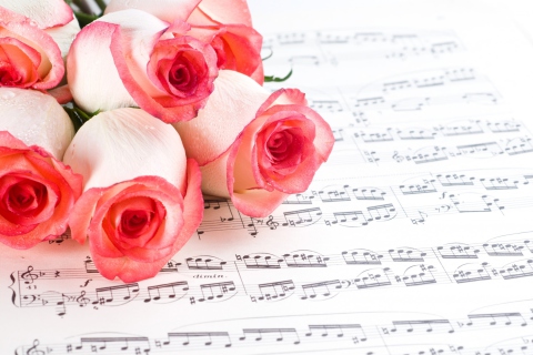Flowers And Music wallpaper 480x320