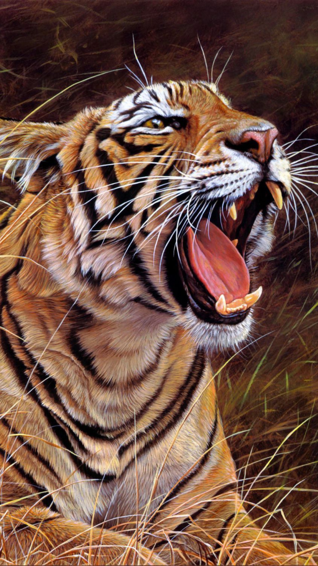Das Tiger In The Grass Wallpaper 1080x1920