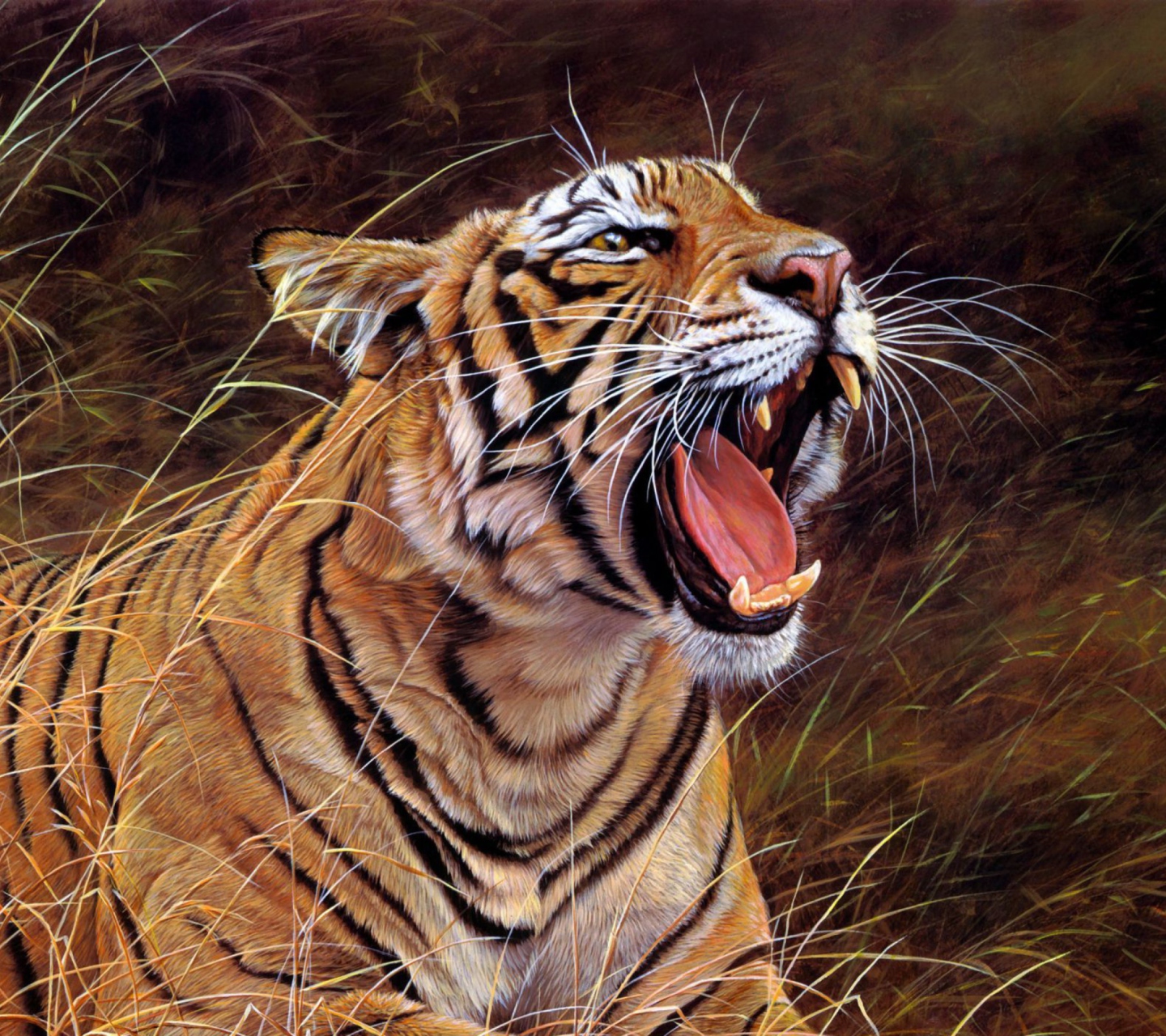 Обои Tiger In The Grass 1440x1280