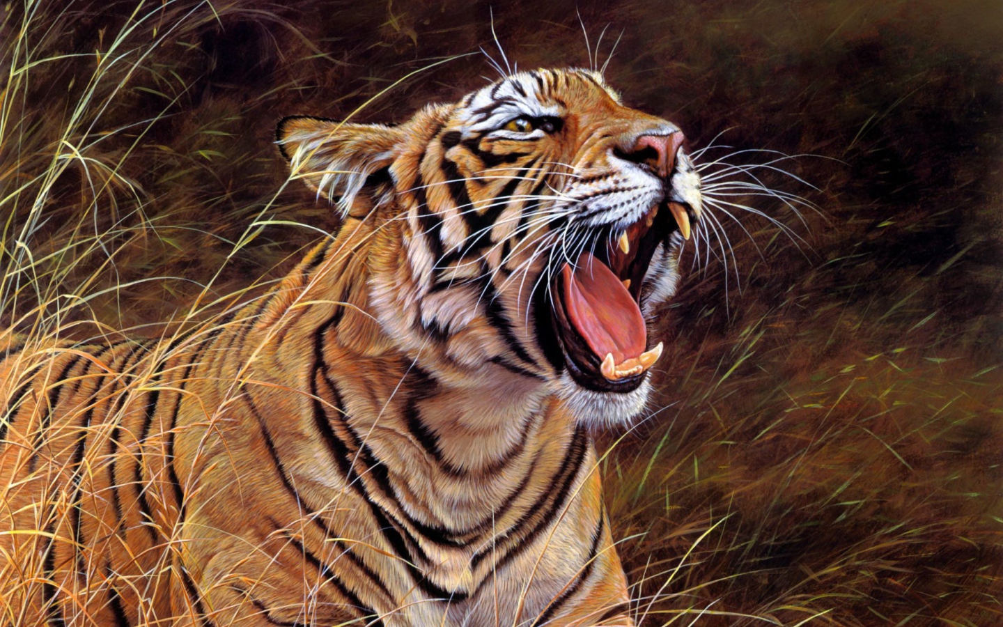 Das Tiger In The Grass Wallpaper 1440x900