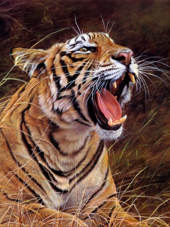 Das Tiger In The Grass Wallpaper 240x320