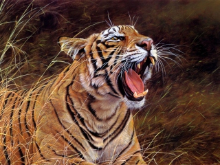 Обои Tiger In The Grass 320x240