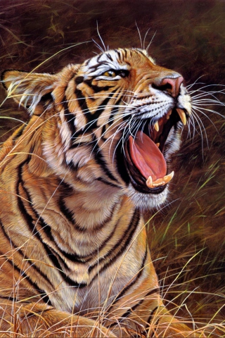 Das Tiger In The Grass Wallpaper 320x480