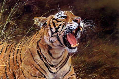 Das Tiger In The Grass Wallpaper 480x320