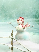 Happy Snowman wallpaper 132x176