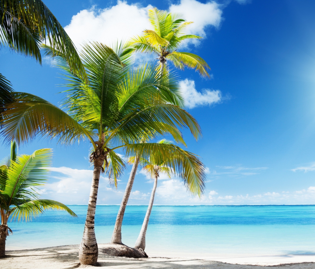 Das Tropical Beach Wallpaper 1200x1024