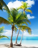 Tropical Beach wallpaper 128x160