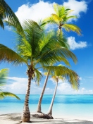 Tropical Beach screenshot #1 132x176