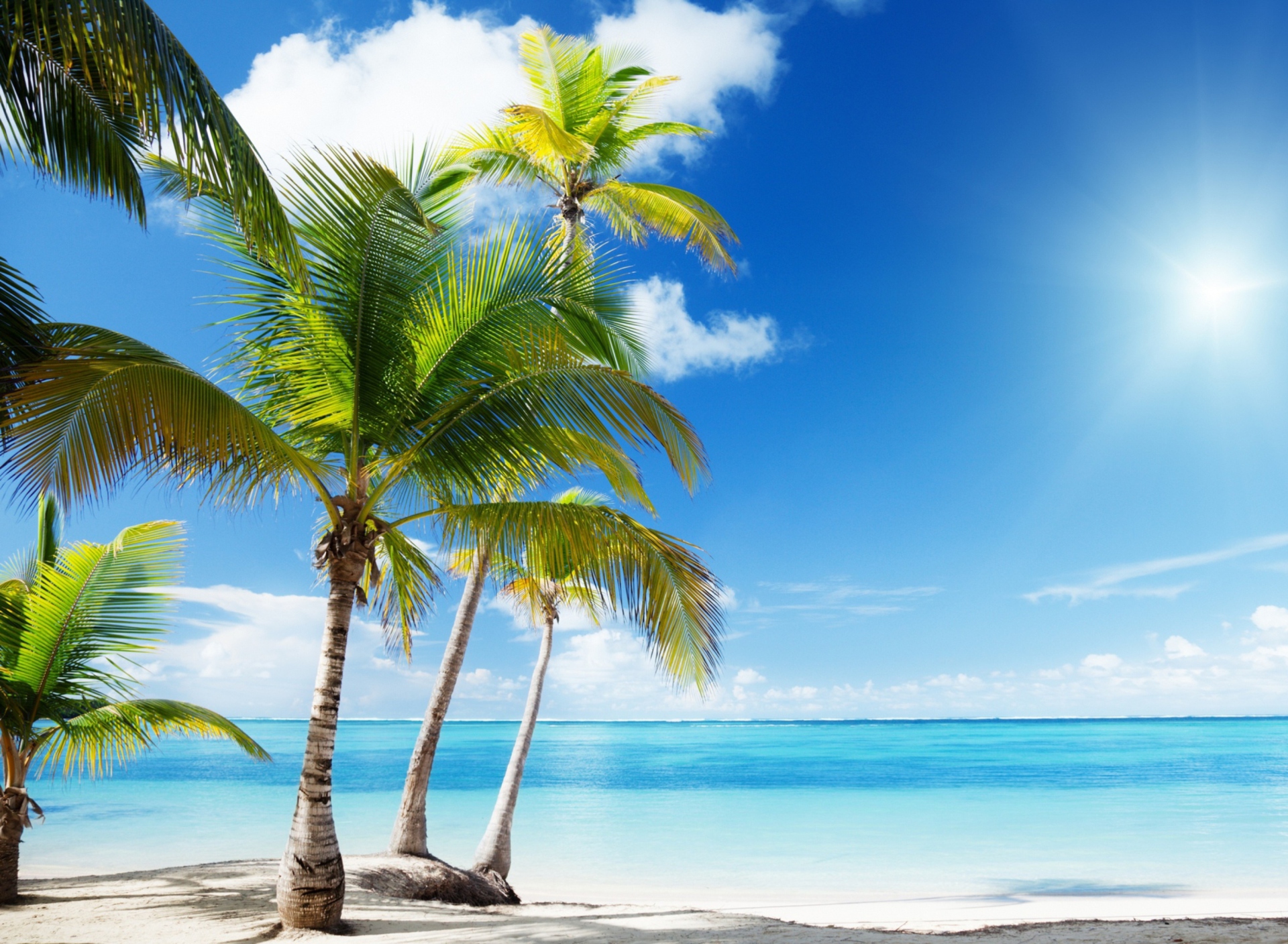 Tropical Beach wallpaper 1920x1408