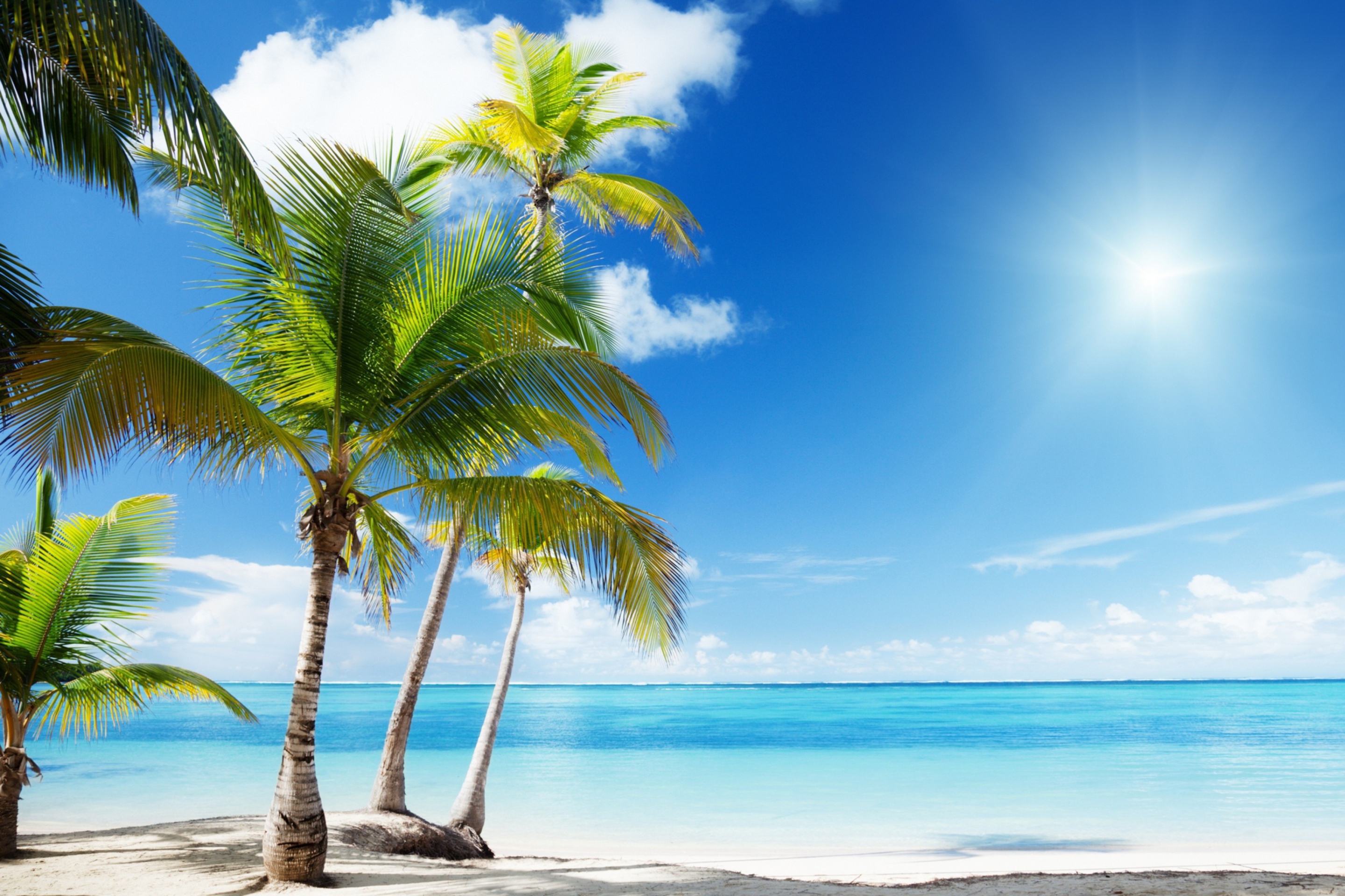 Fondo de pantalla Tropical Beach 2880x1920