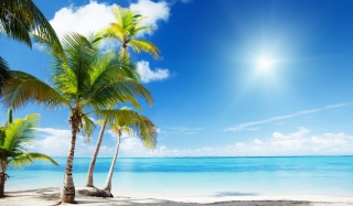 Tropical Beach Background for Android, iPhone and iPad