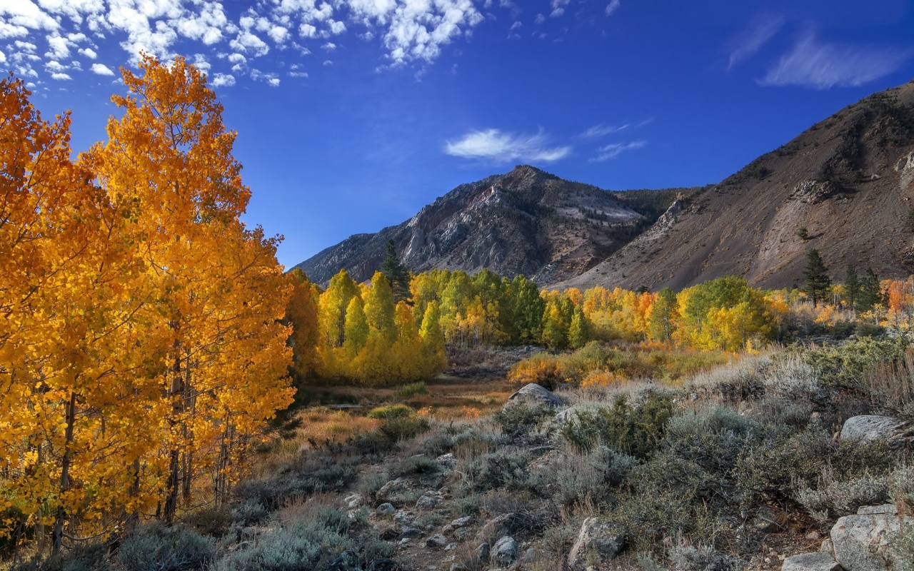 Wonderful mountain landscape screenshot #1 1280x800