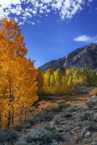 Sfondi Wonderful mountain landscape 320x480