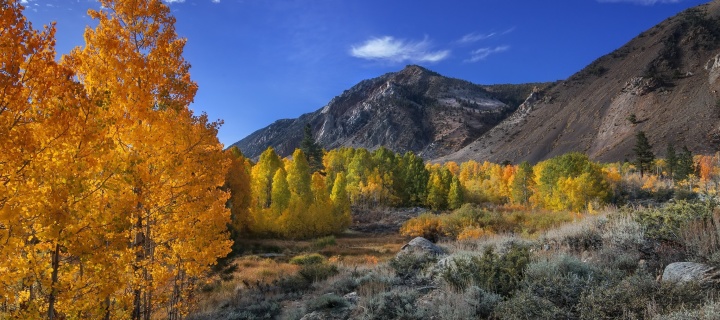 Fondo de pantalla Wonderful mountain landscape 720x320