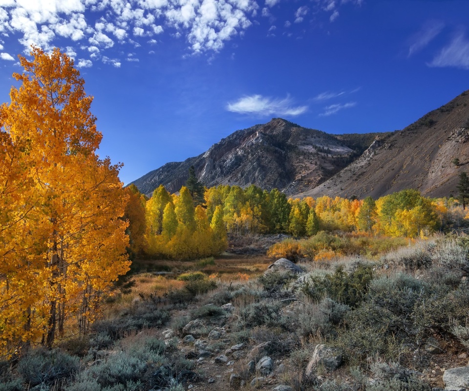 Wonderful mountain landscape wallpaper 960x800