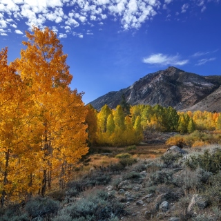 Wonderful mountain landscape sfondi gratuiti per iPad mini