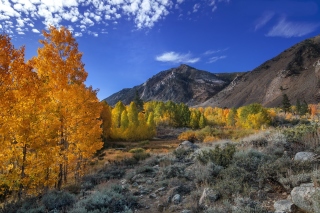 Wonderful mountain landscape sfondi gratuiti per cellulari Android, iPhone, iPad e desktop